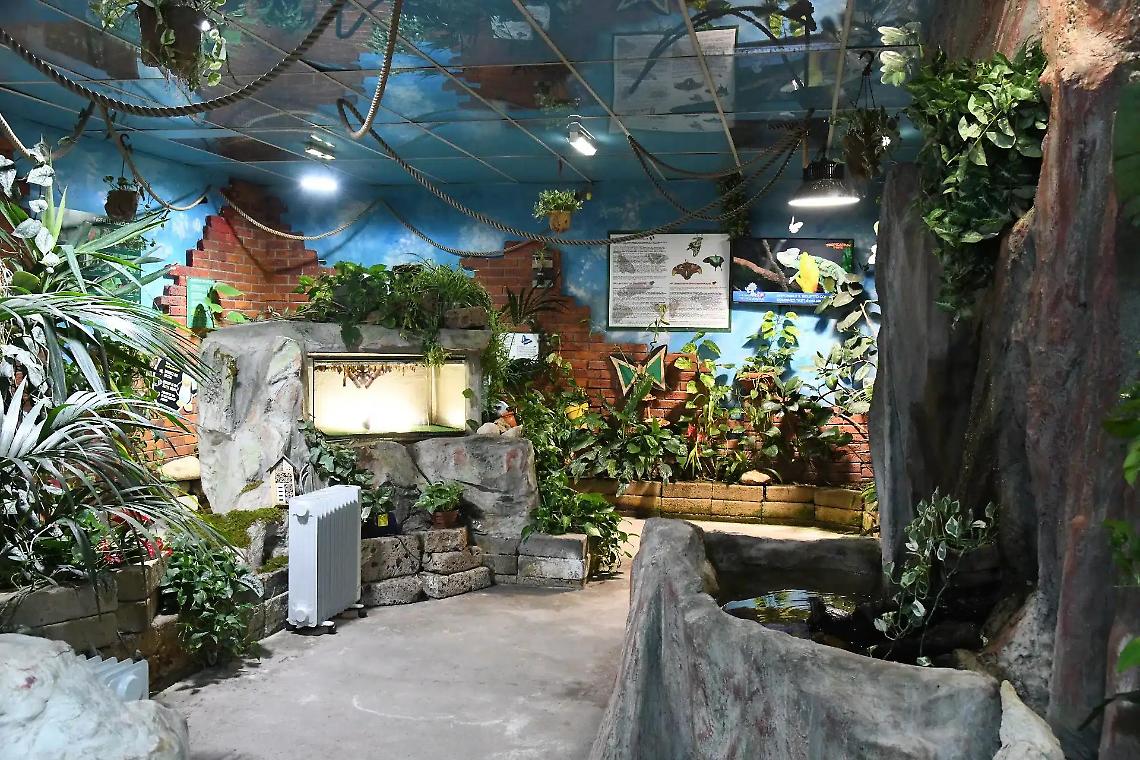 Il Tropicarium Park di Jesolo