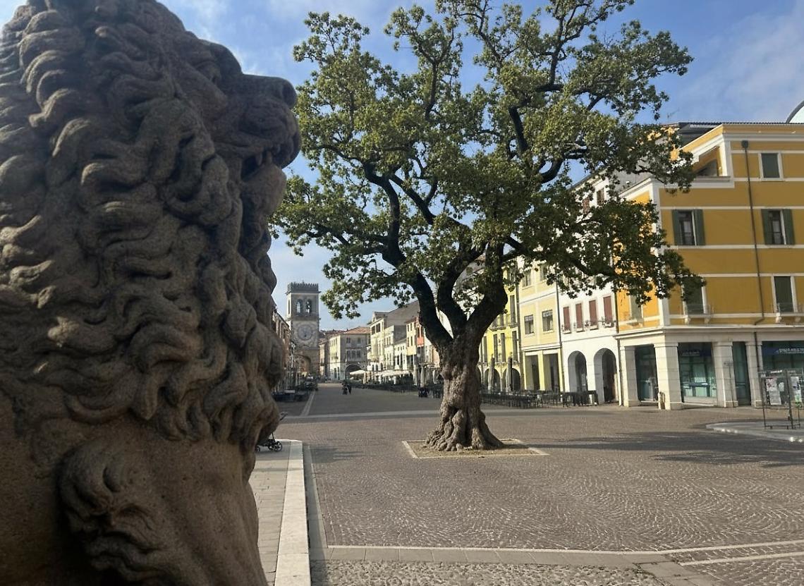 Este in Foto: i giovani reinventano il verde della città