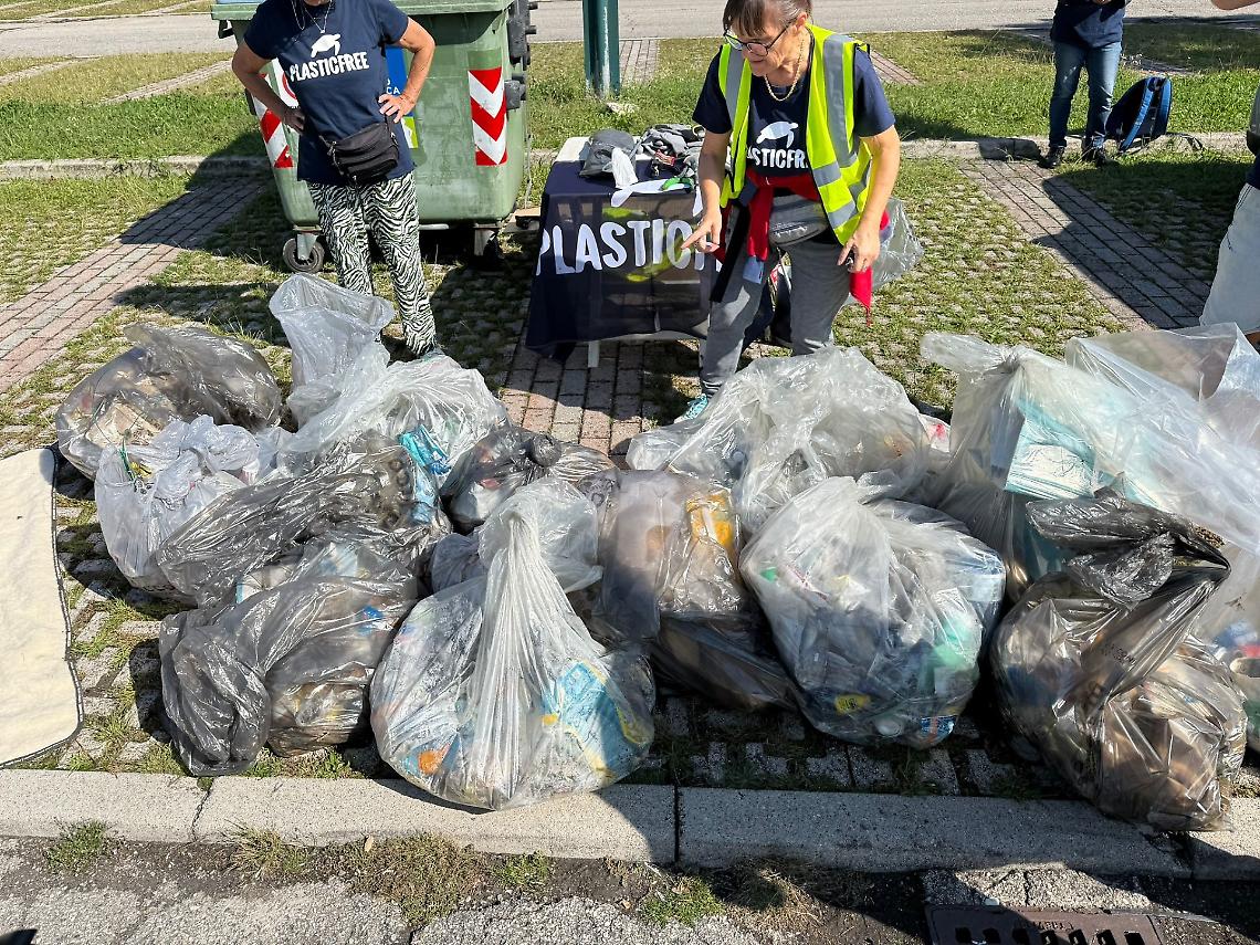 Plastic Free Treviso: volontari in prima linea contro la plastica
