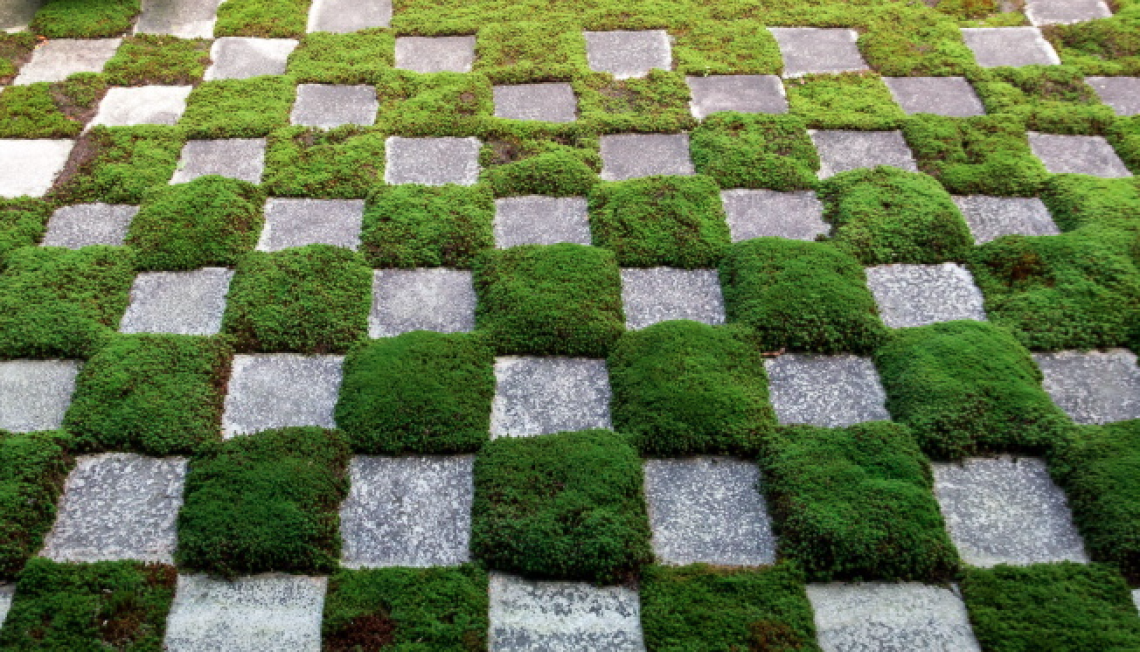 Giornata ecologica regionale 2026: al centro le api, custodi della biodiversit&agrave;