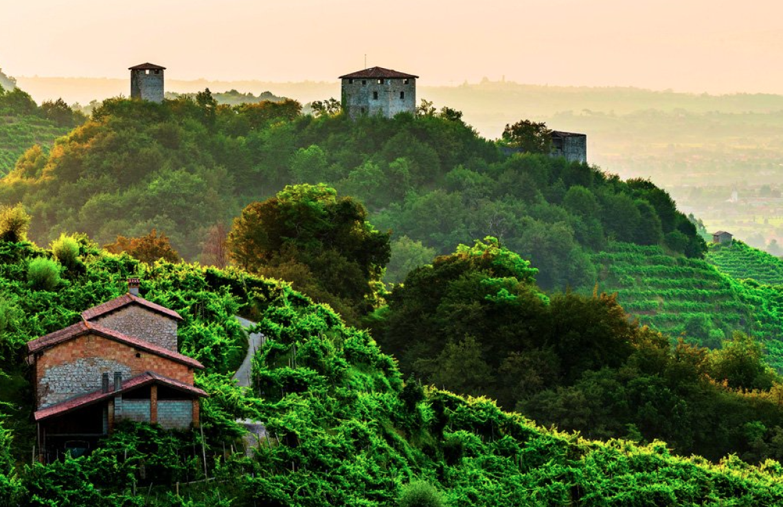 Sulle creste delle bollicine: il viaggio a piedi nel cuore delle Colline del Prosecco 