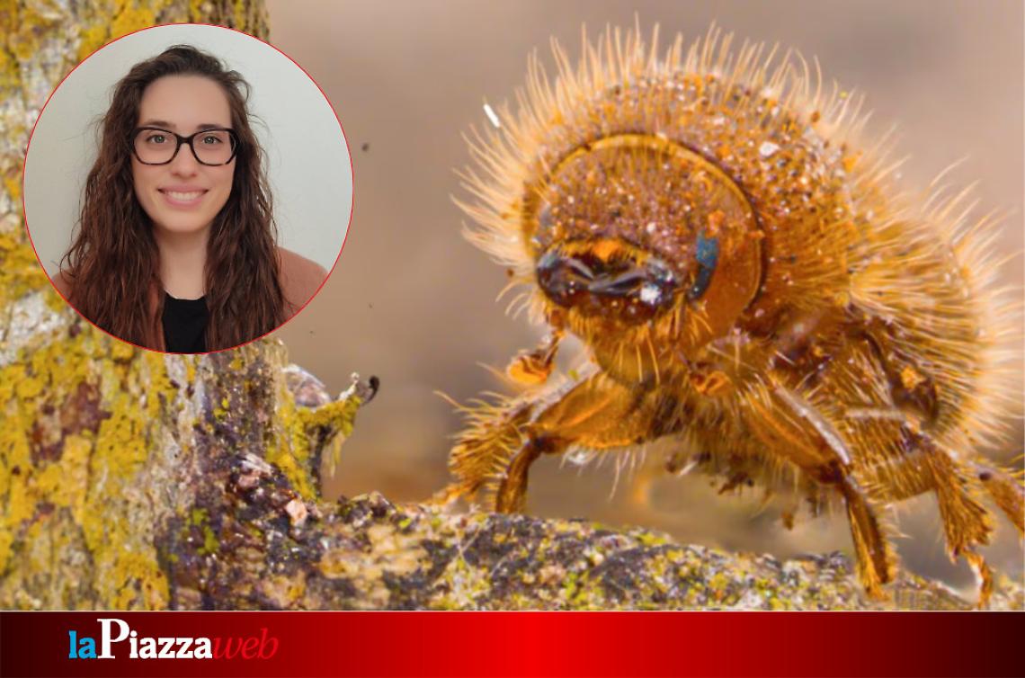 La ricercatrice padovana Denise Busa