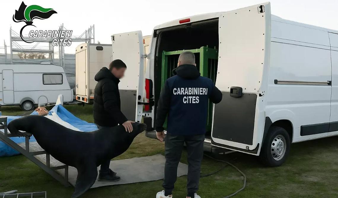 La liberazione dell'animale