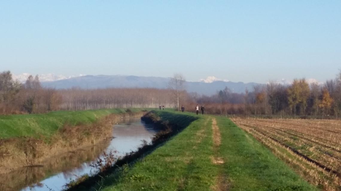 Efficientamento degli edifici, mobilità sostenibile, Mirano punta al taglio delle emissioni