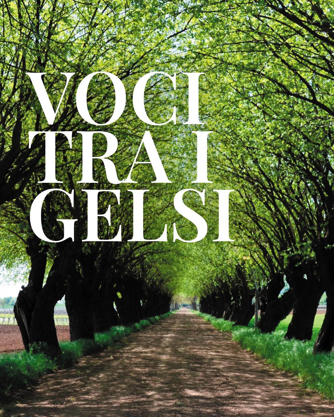 I gelsi della Gualda: un invito a raccontare memoria e paesaggio