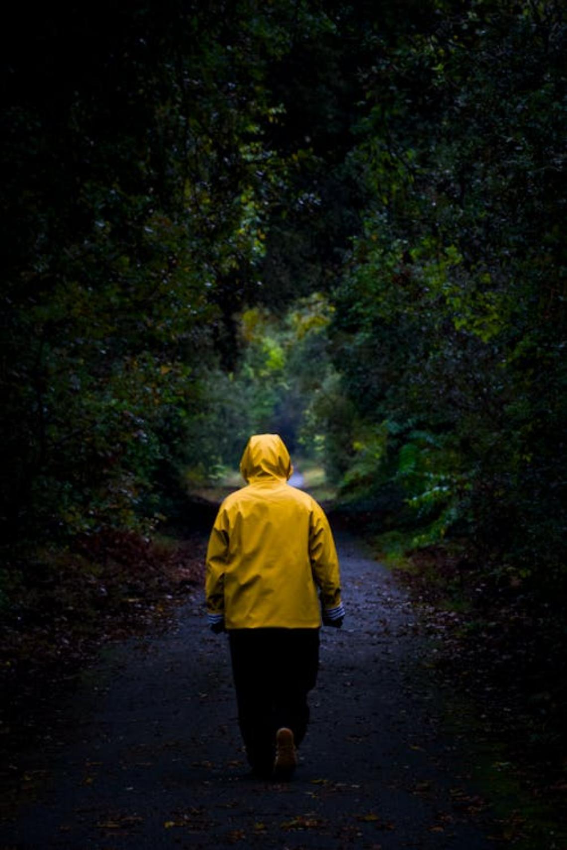 Veneto a piedi: le passeggiate più suggestive tra natura, storia e panorami
