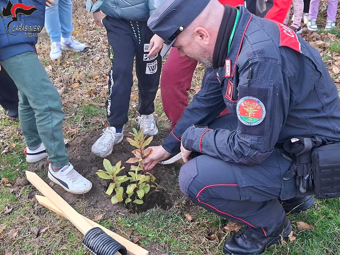 Scuole e Carabinieri Forestali insieme per la Giornata degli Alberi