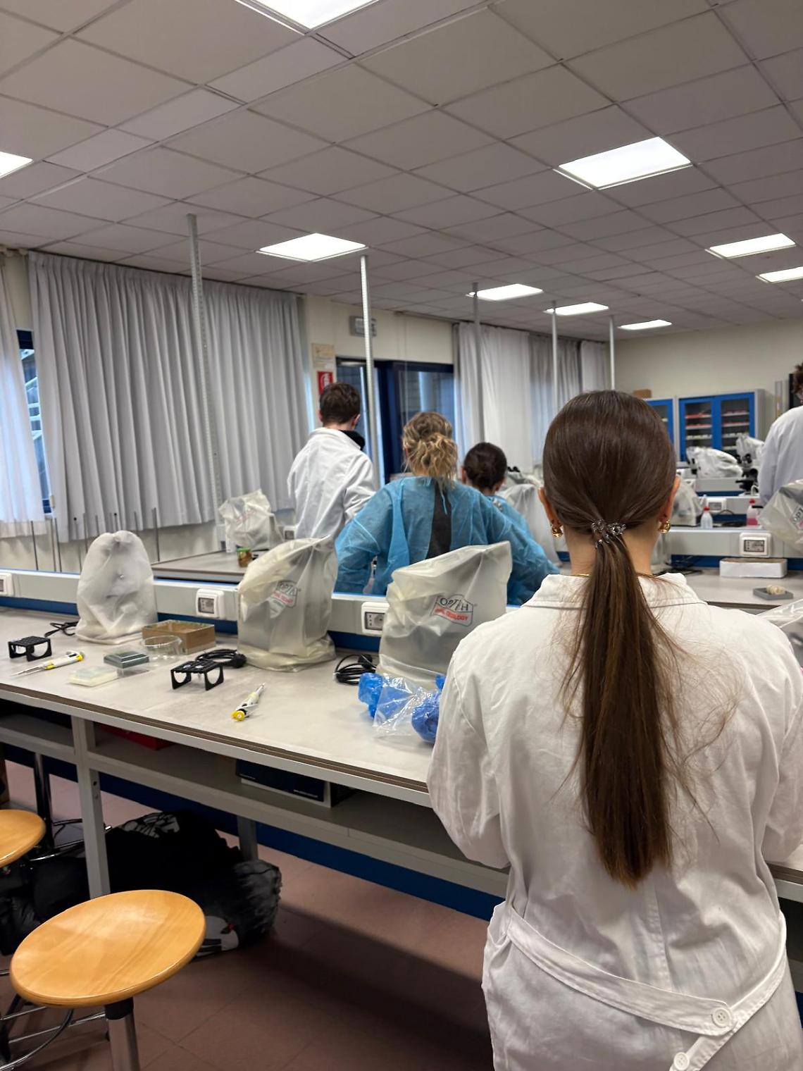 Mirano, il Liceo Majorana si mette in mostra tra nuove offerte formative e la "Disputa Filosofica"