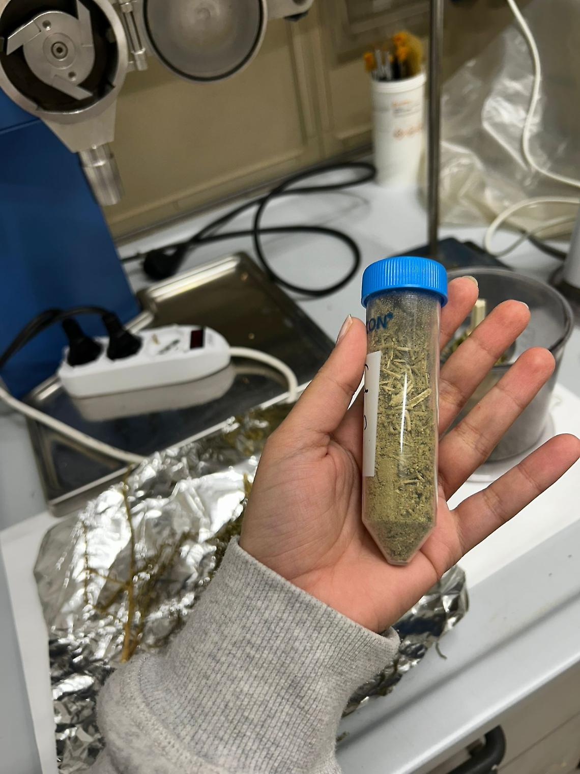 Area di Gesia, si attendono i responsi dei laboratori campani 