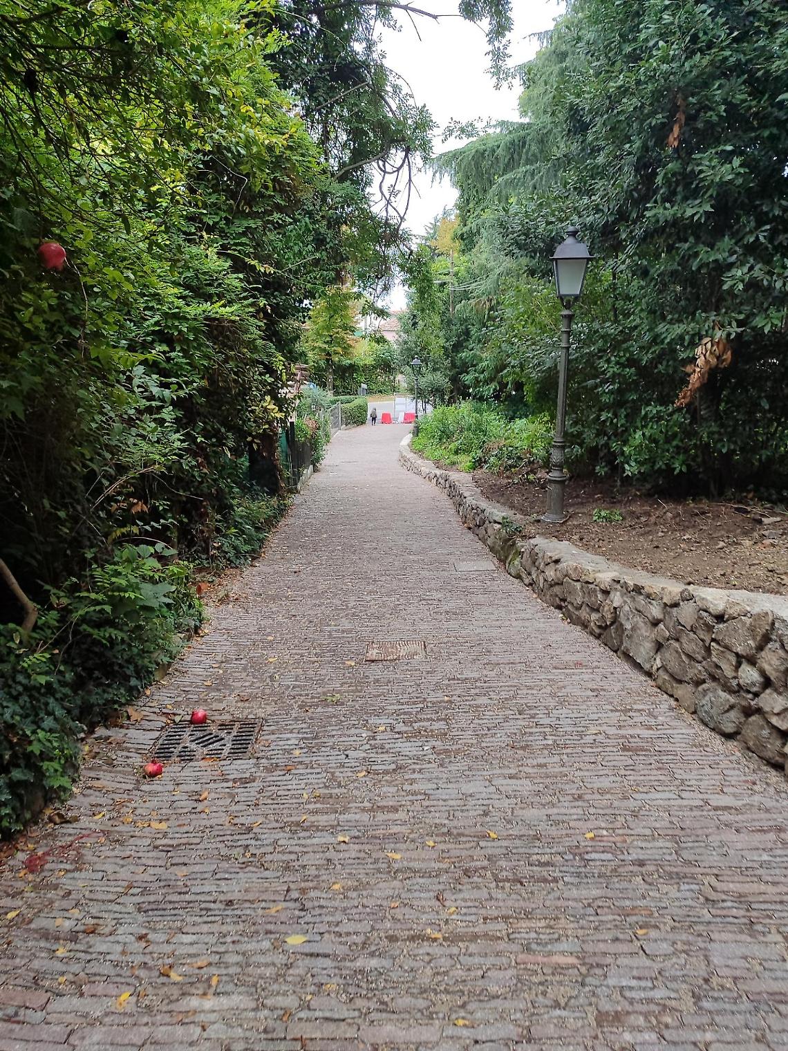 Parco di Palazzo Contarini