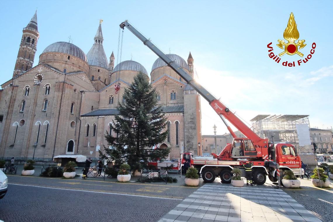 Piazza del Santo a Padova accoglie l'albero di Natale: il gesto simbolico della Comunità del Primiero