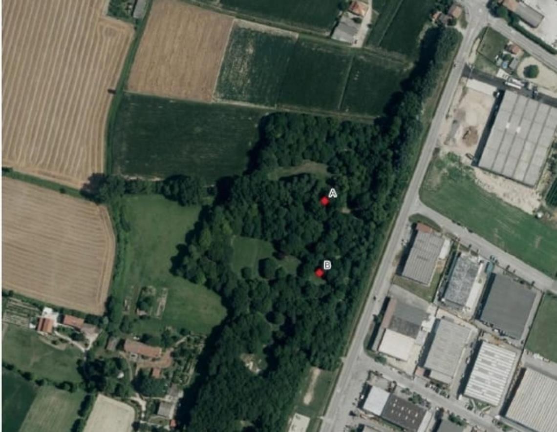 PIOVE DI SACCO: bosco di pianura aree 