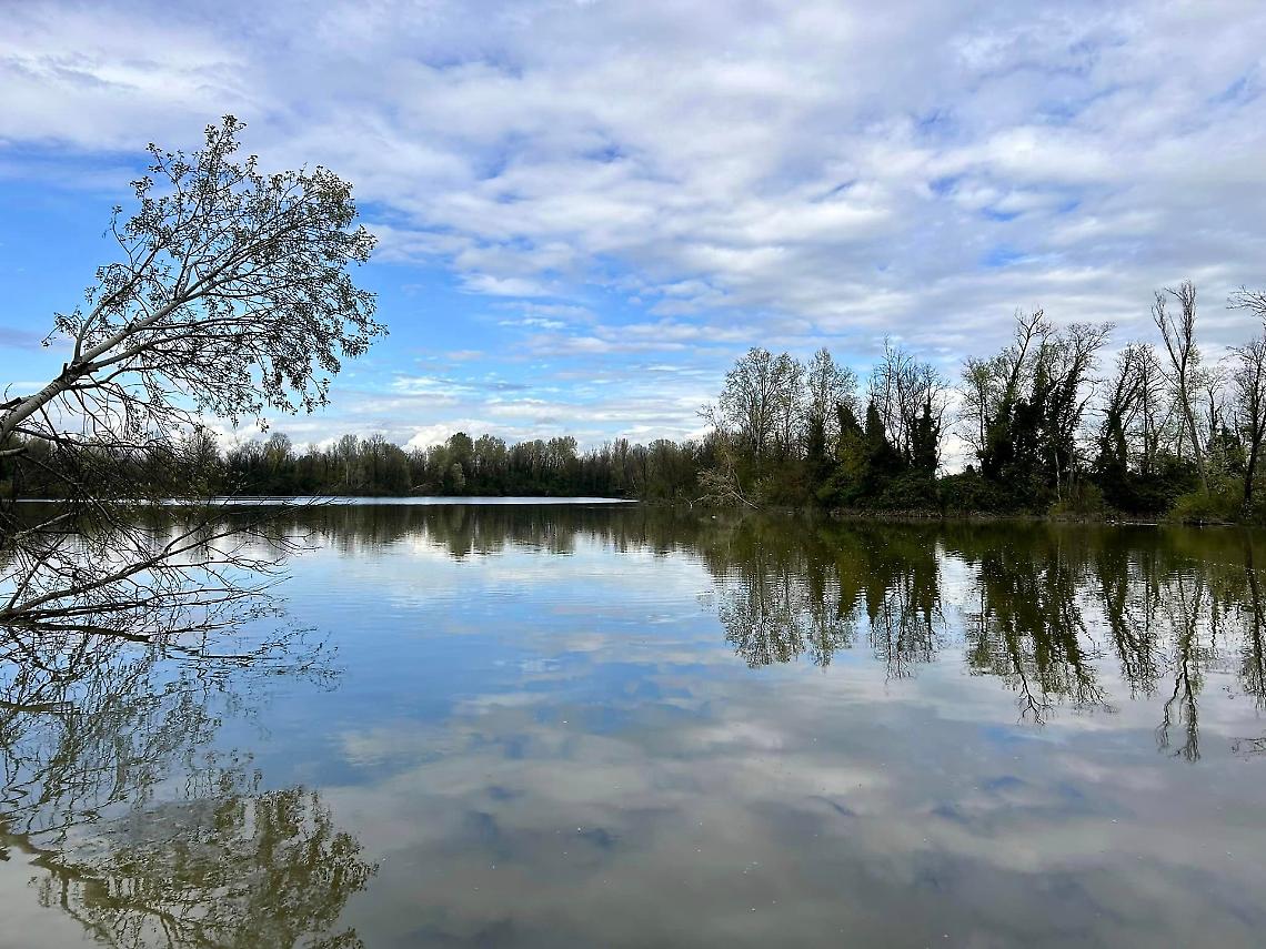 Scintille a Martellago per i 40 anni del Parco Laghetti. La mostra di AcqueNove accende un acceso dibattito