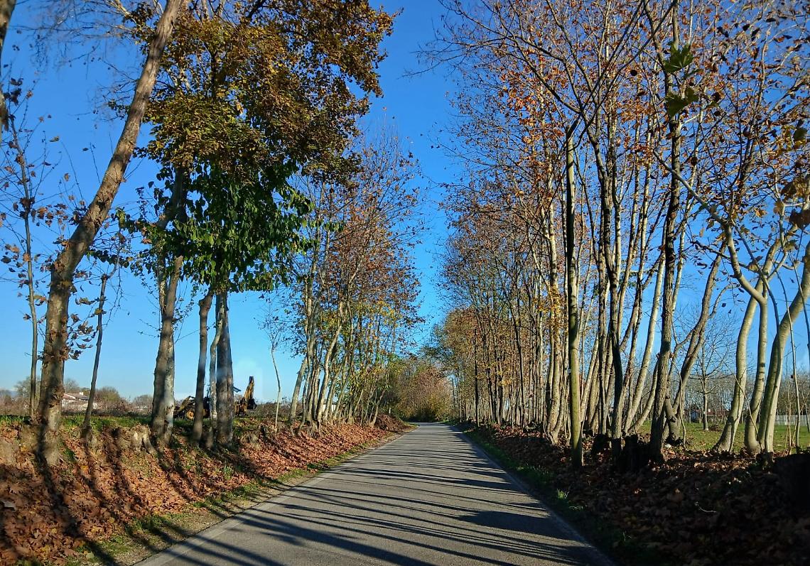 Loria investe 82.000 euro per la manutenzione di banchine e fossi: partono i lavori straordinari