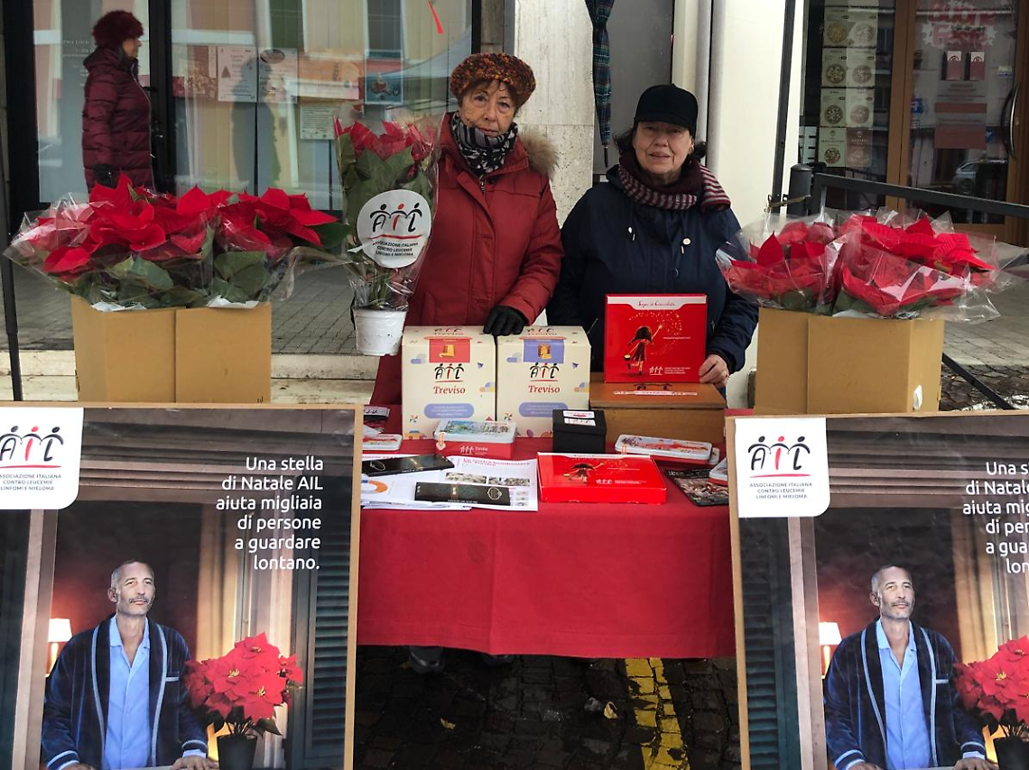 Stelle di Natale AIL