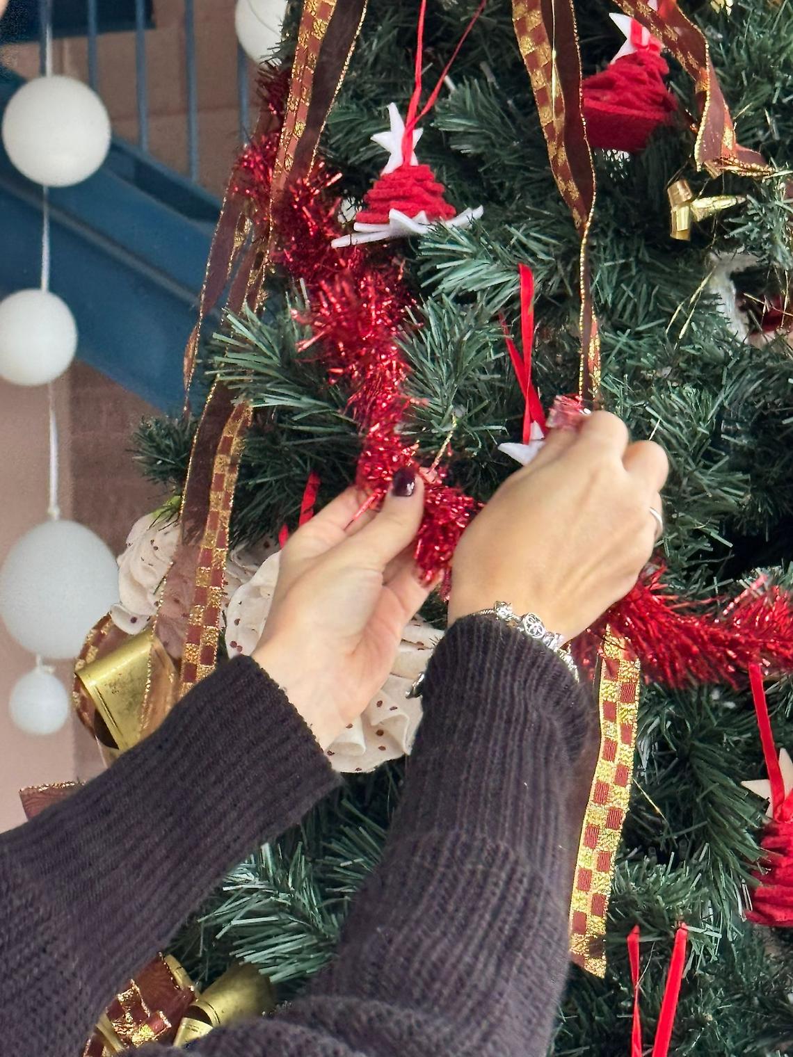 Porto Viro, i ragazzi della Comunità Impatto decorano l’albero di Natale: tra luci e dialogo tra culture
