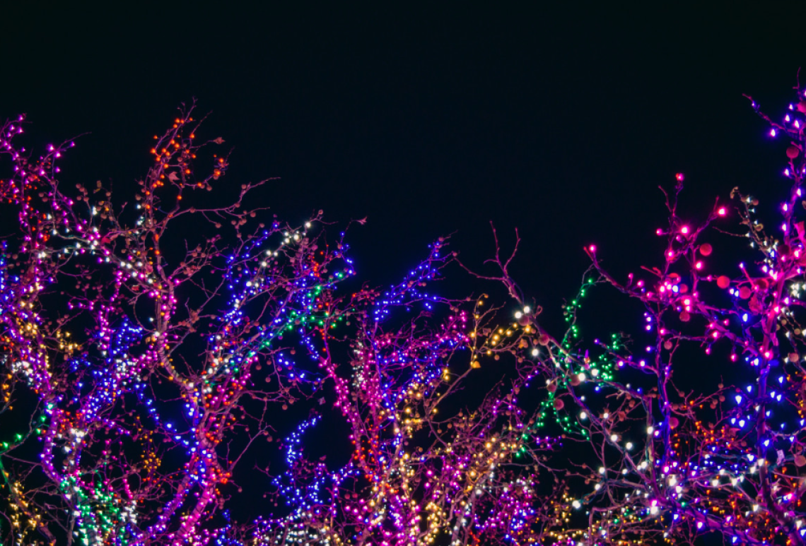 Trasforma il tuo giardino in un regno di Natale: idee e consigli per decorazioni da sogno