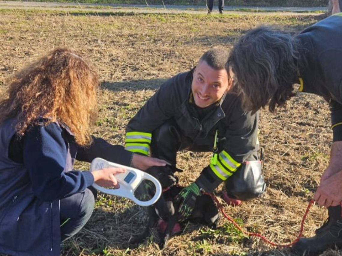 Foto del salvataggio