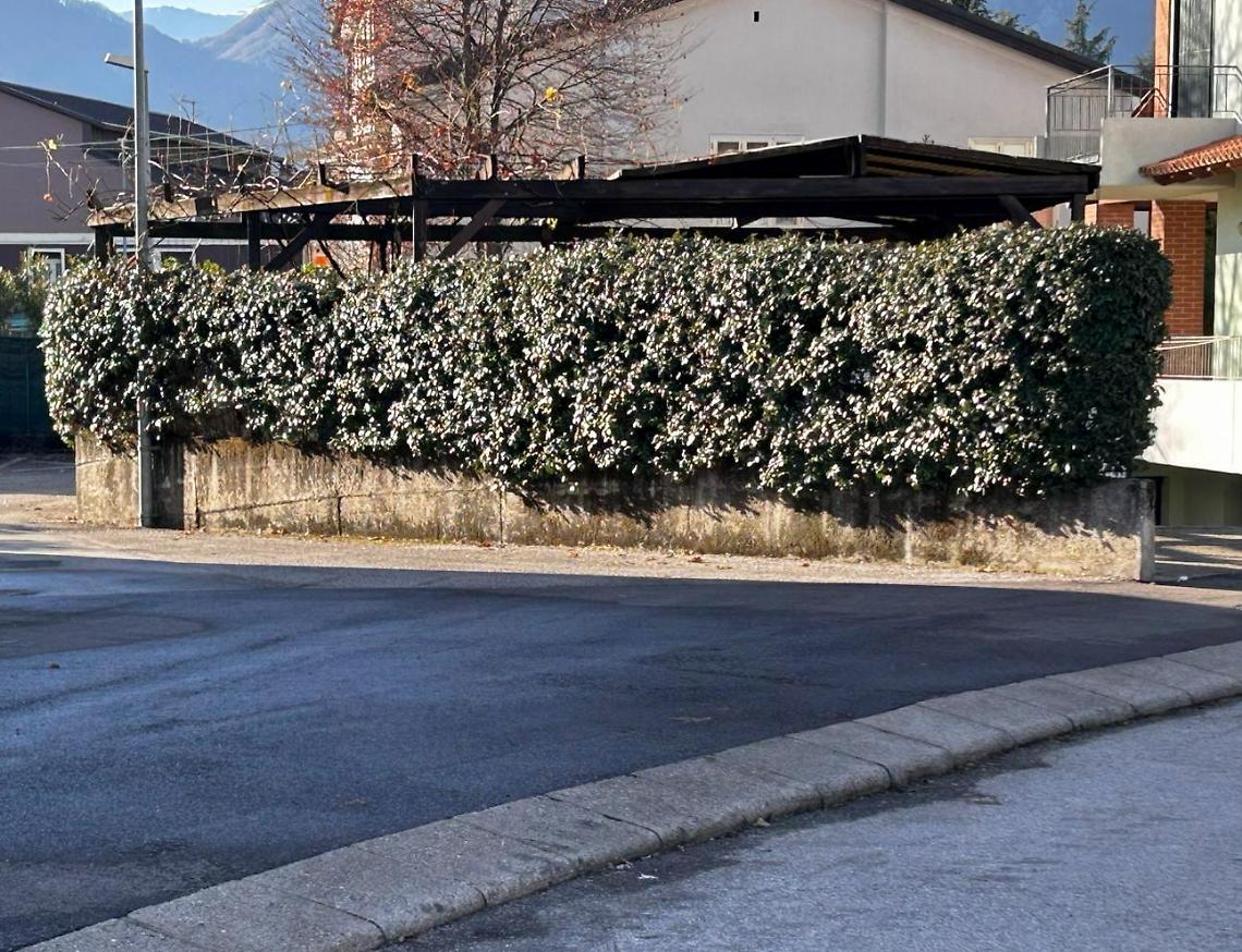 Schio più accessibile: conclusi i lavori su 3 km di nuovi marciapiedi inclusivi