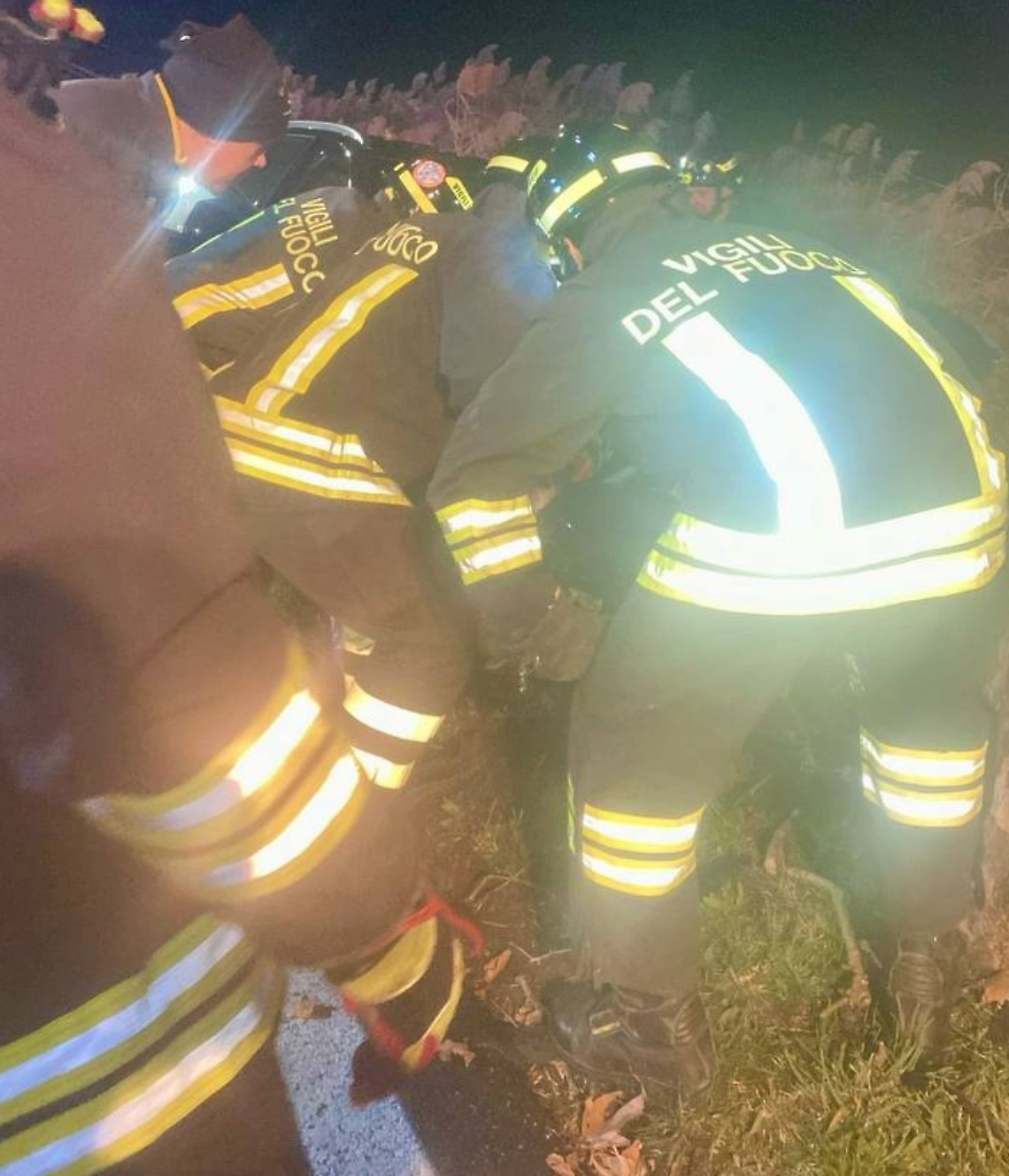 San Stino di Livenza, auto si schianta contro un platano: deceduta una 56enne