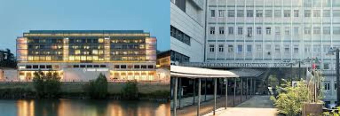 Successo per l' Azienda Ospedaliera Universitaria Integrata di Verona: rimosso tumore raro a paziente di 70 anni. 