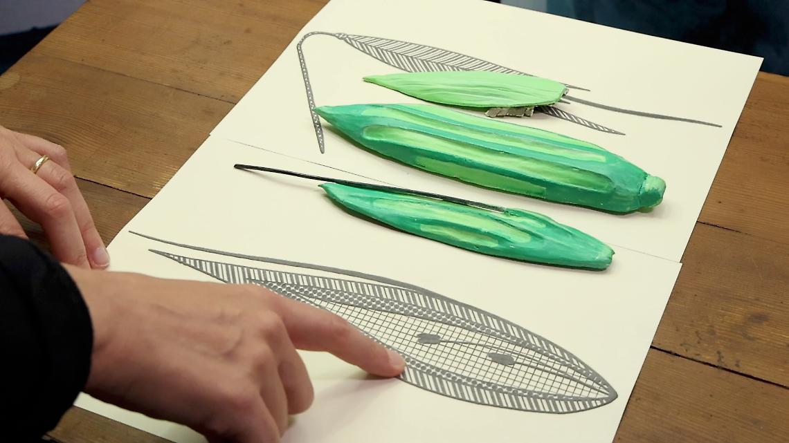 Foto dell'iniziativa