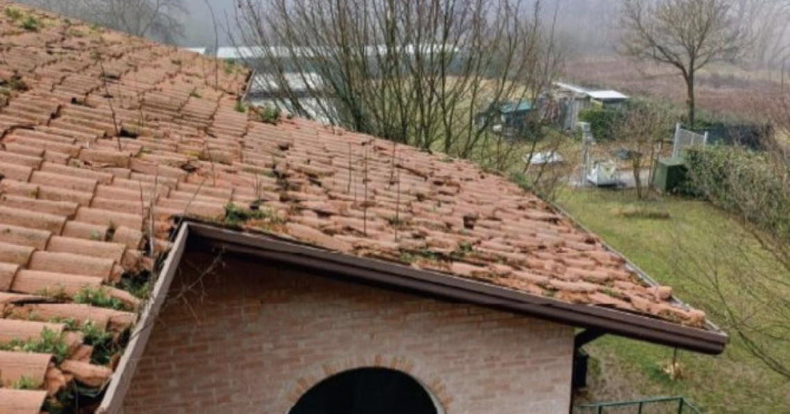 Vicenza, il tetto del canile di Gogna sar&agrave; rifatto: stanziati 75 mila euro