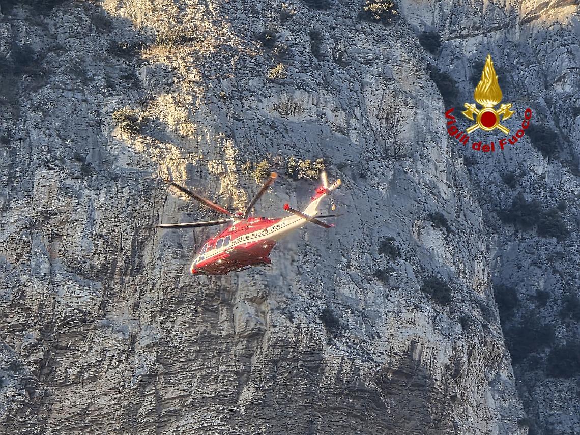 Rivoli Veronese, camoscio salvato dai Vigili del Fuoco