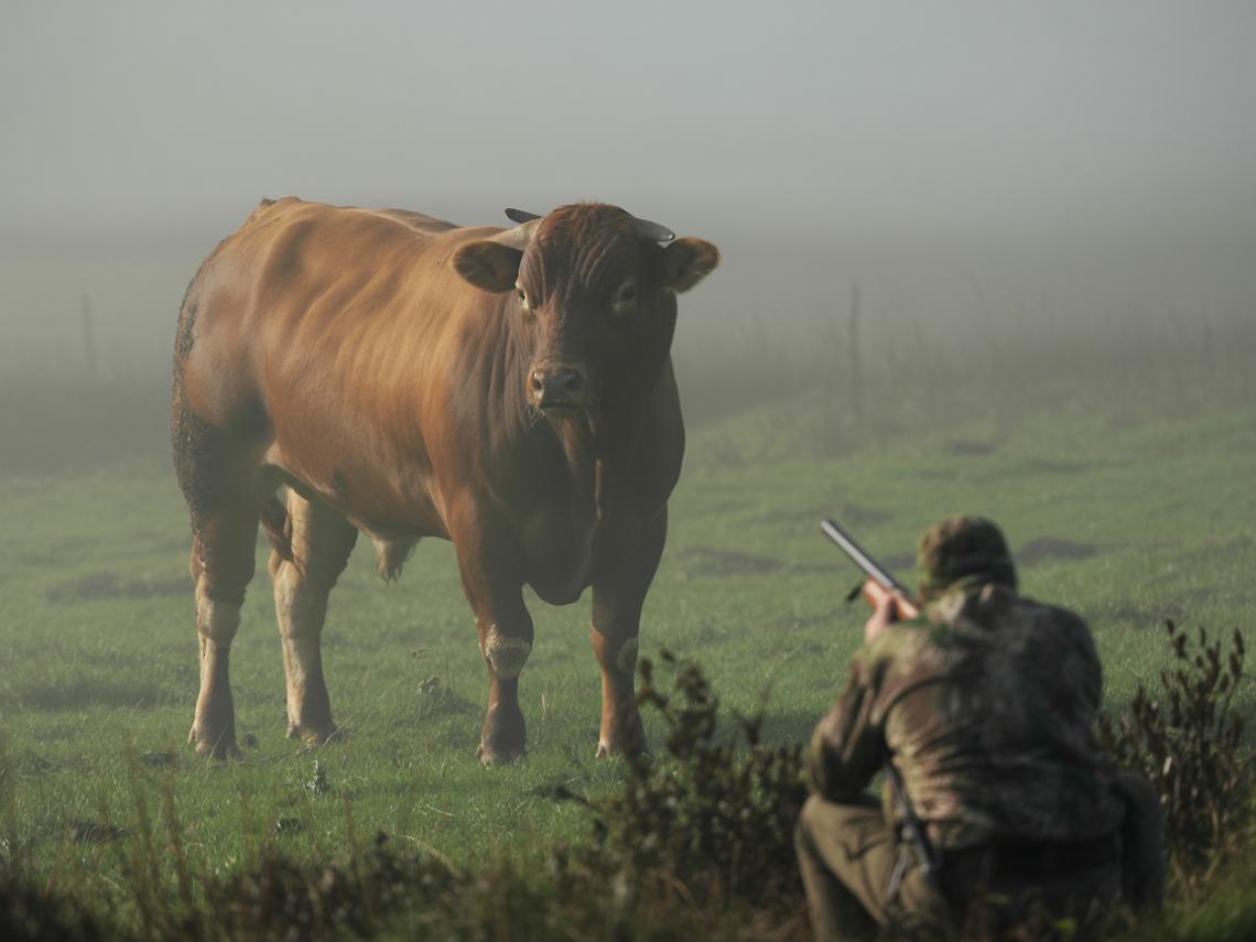 Foto di repertorio generata con intelligenza artificiale
