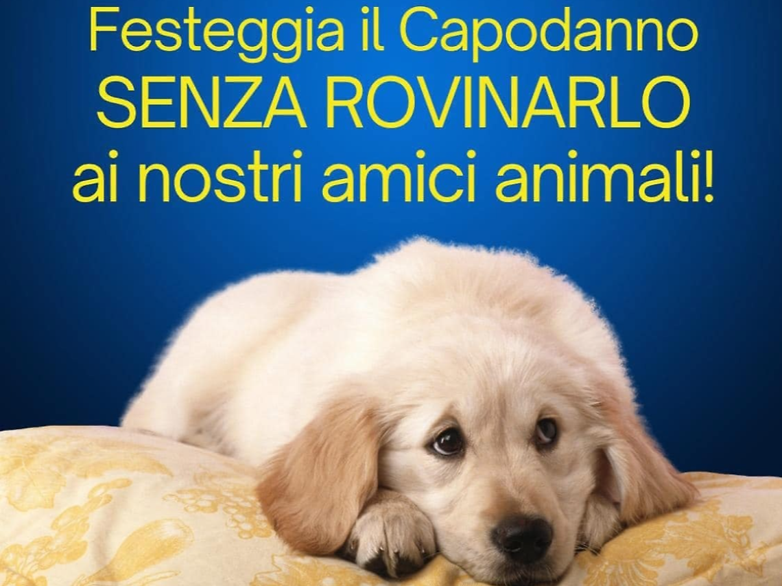 Locandina dell'iniziativa