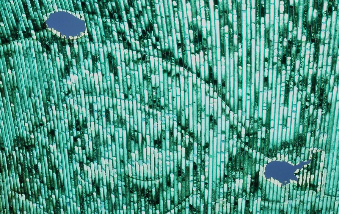 L&rsquo;arte dello sguardo quotidiano: Paolo Coltro inaugura la nuova stagione di &ldquo;Sottosopra&rdquo;