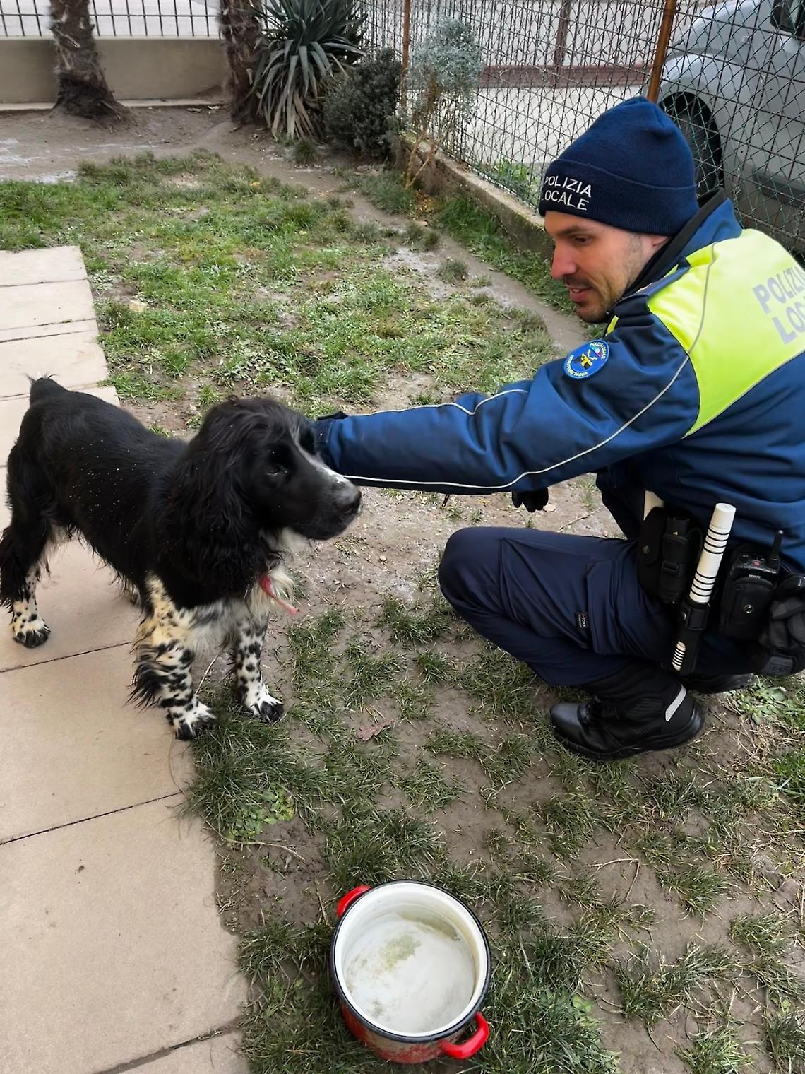 Cane segnalato al freddo in Commenda: intervento della Polizia Locale a Rovigo