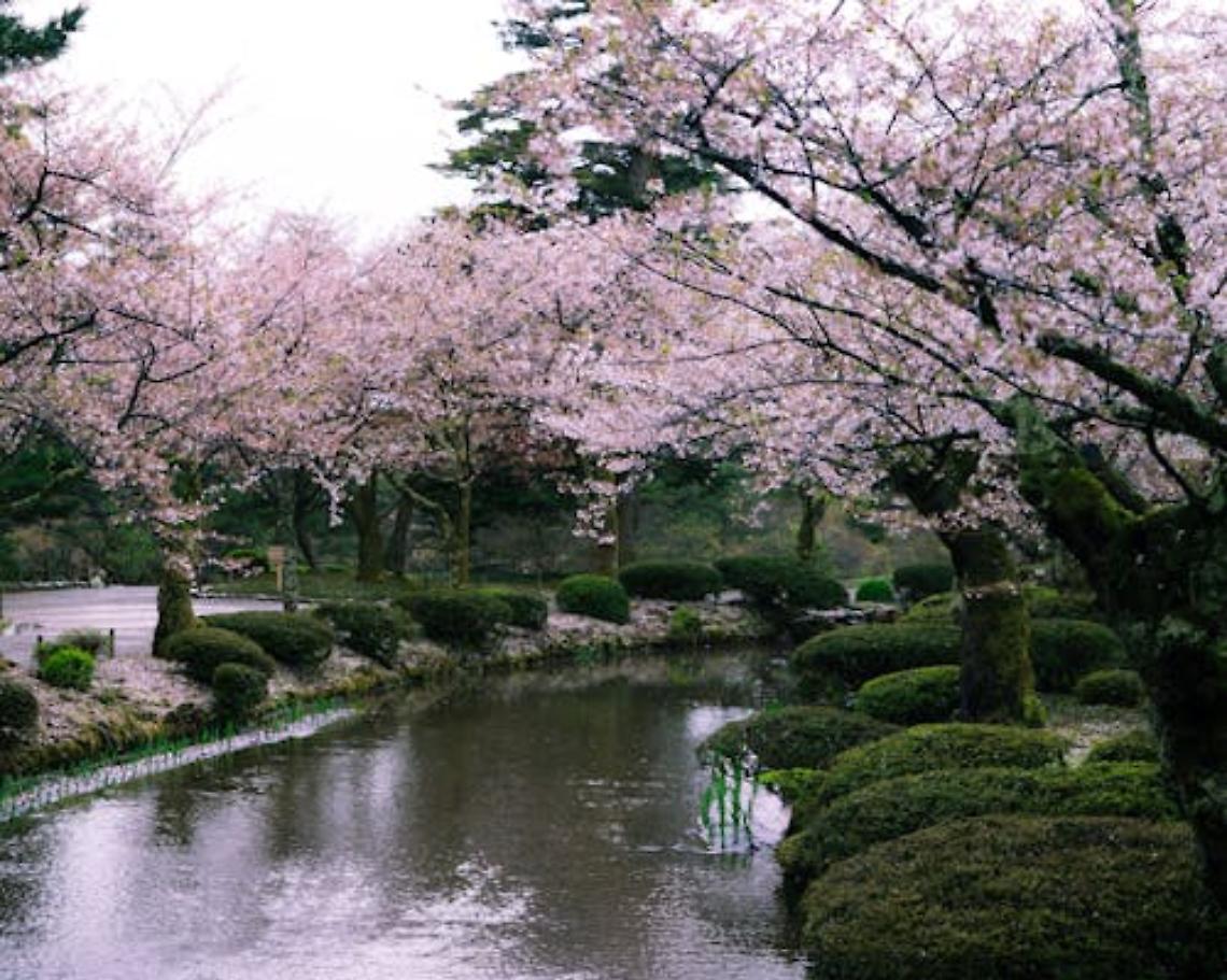 Treviso, in bicicletta lungo la Nakasendo: Caterina Zanirato racconta il Giappone autentico 