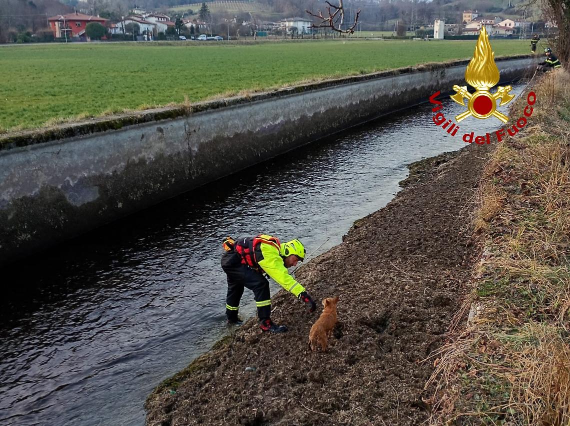 Foto del salvataggio