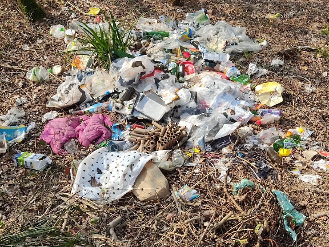 Foto dei rifiuti abbandonati sugli argini del Brenta