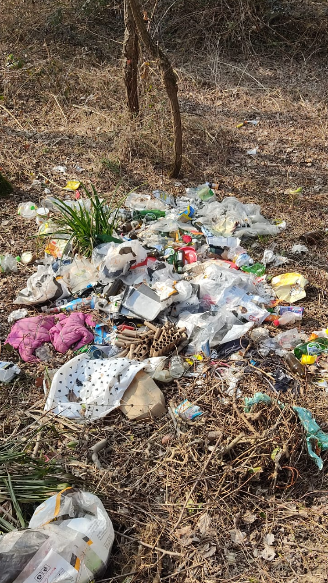 Fiume Brenta, nel 2025 recuperati 40 tonnellate di rifiuti: allarme per l&rsquo;inquinamento