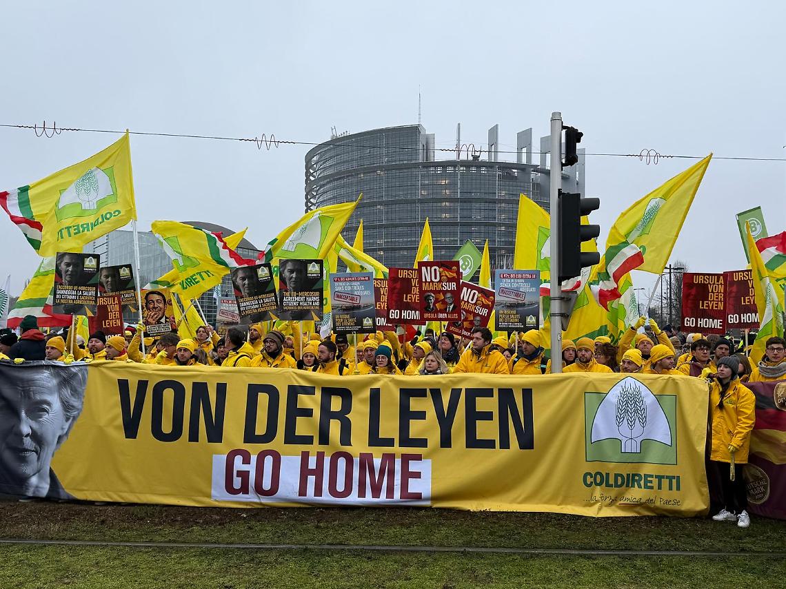 Coldiretti a Strasburgo: "Stop alle importazioni sleali, servono pi&ugrave; controlli e reciprocit&agrave;"