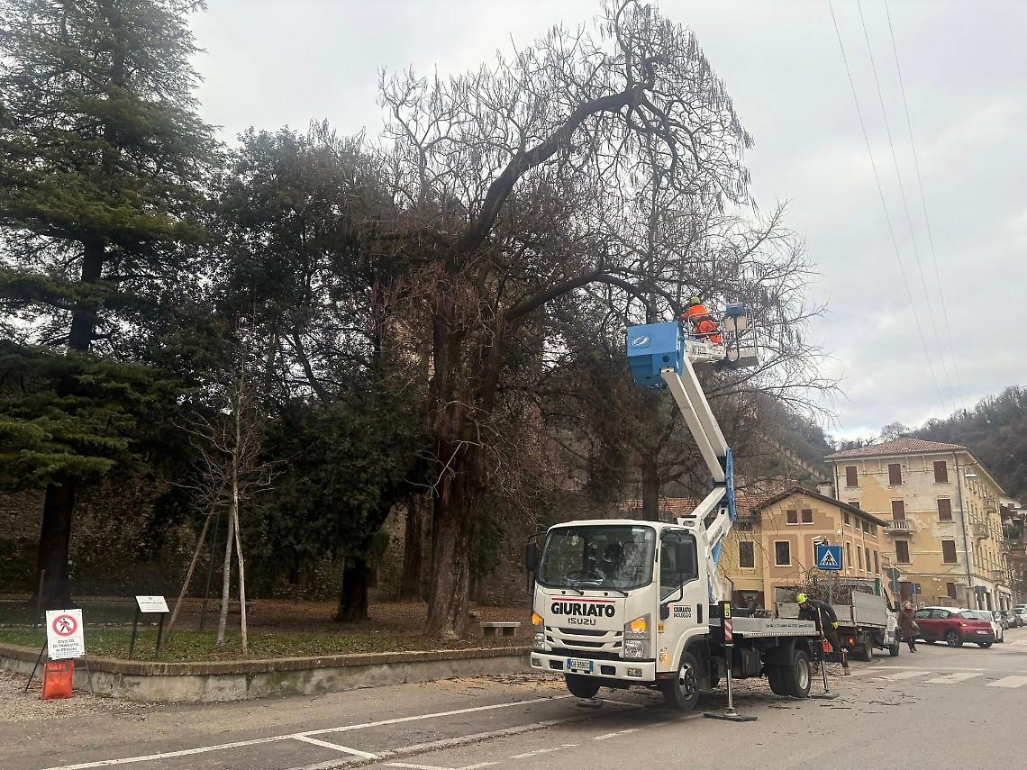 Marostica: prosegue il piano di manutenzione del verde comunale