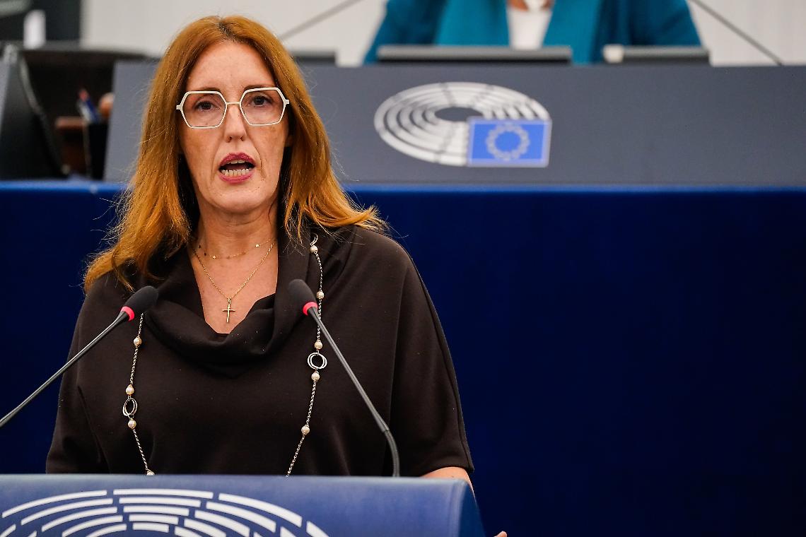 Acciaio, Donazzan (FdI): &ldquo;Senza tutele sui derivati, l&rsquo;intera filiera industriale europea &egrave; a rischio&rdquo;