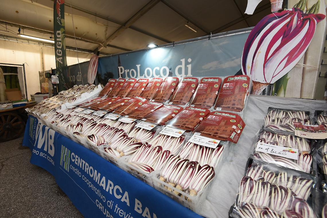 Successo di Pubblico e Contenuti alla 32^ Mostra del Radicchio Rosso Tardivo di Treviso IGP a Zero Branco