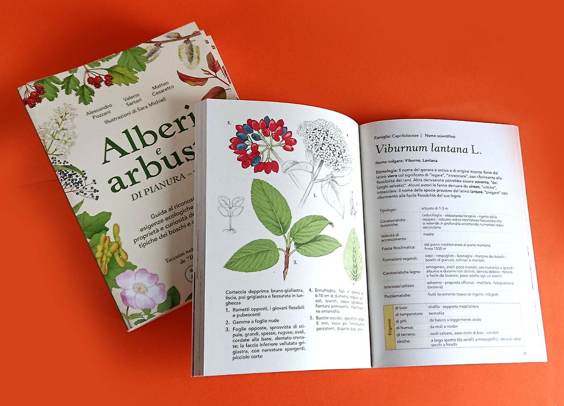 "Alberi e Arbusti di pianura" per scoprire la flora della pianura&nbsp;