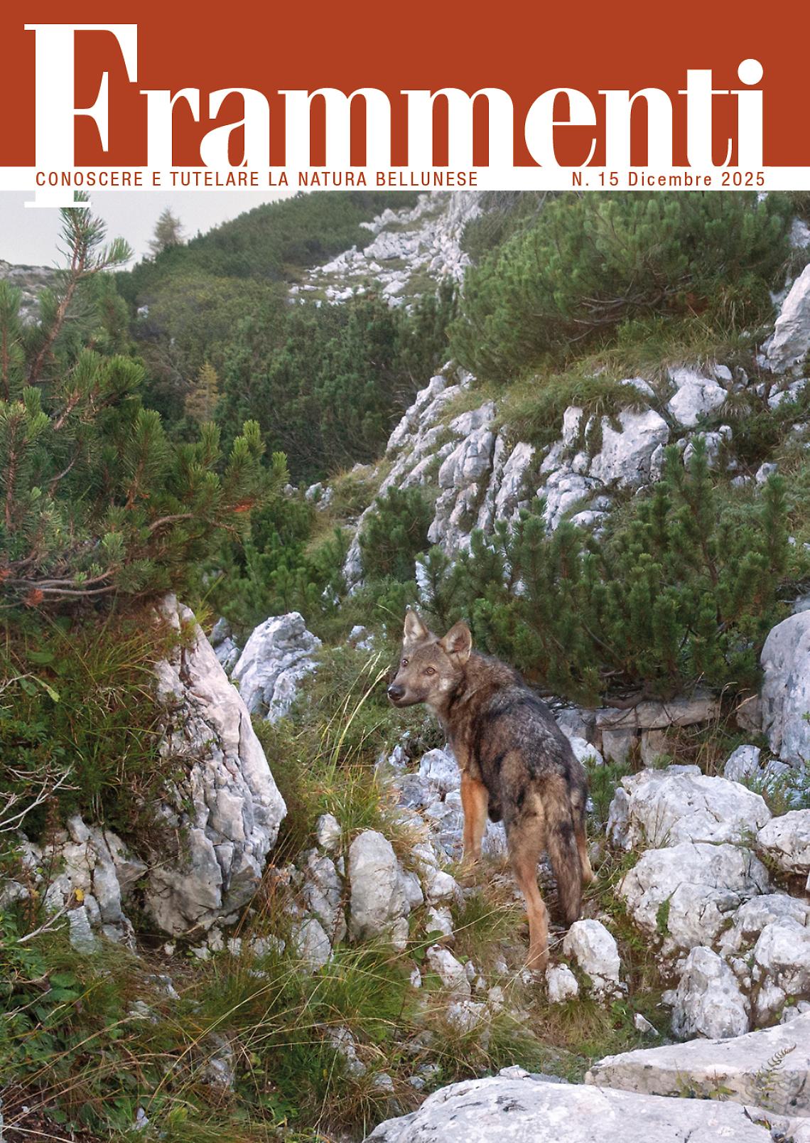 Presentato il Quindicesimo Numero di "Frammenti" al Museo Naturalistico delle Dolomiti Bellunesi