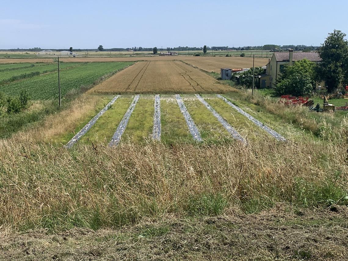 NU.VO.L&rsquo;A., un progetto che fa crescere il Delta del Po