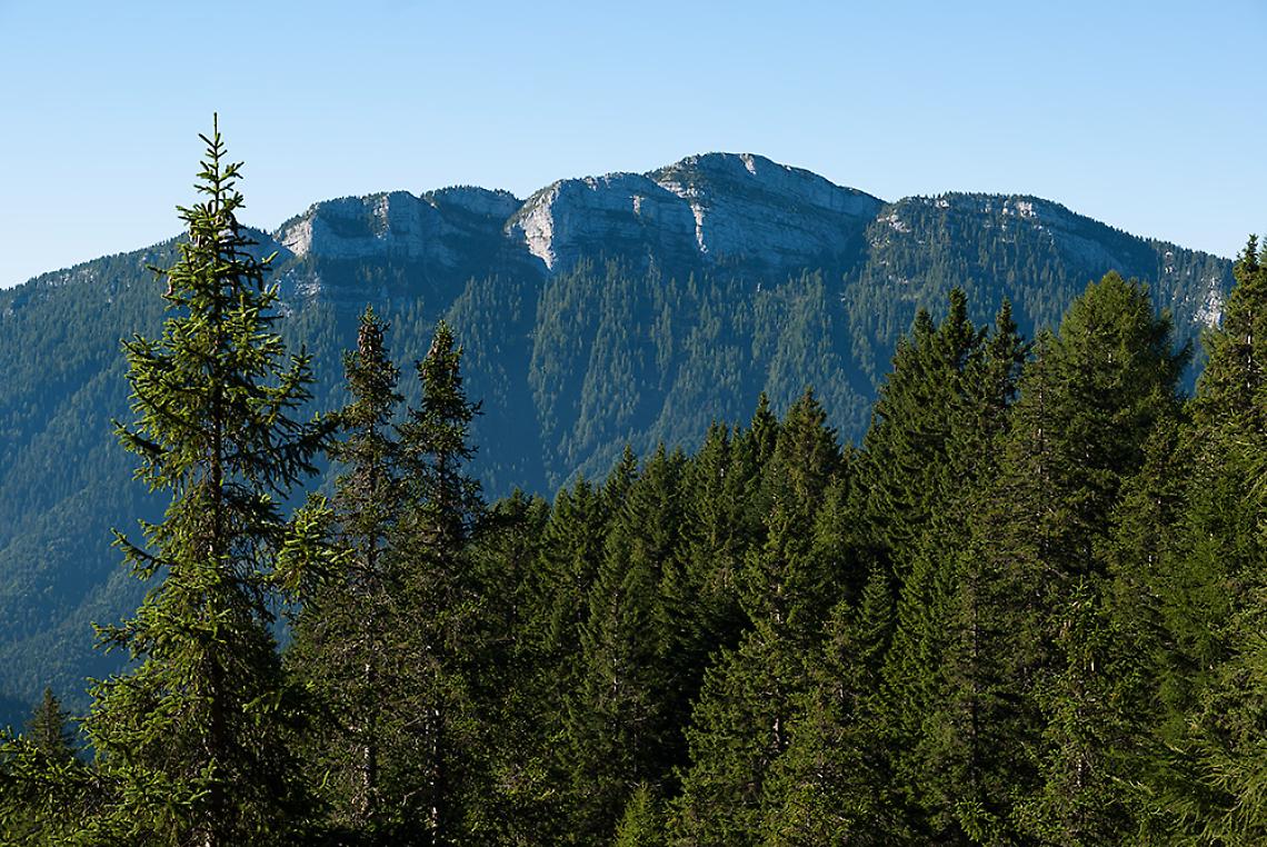 Vicentino salvato sul Monte Verena mentre inseguiva il cane caduto in un canalone