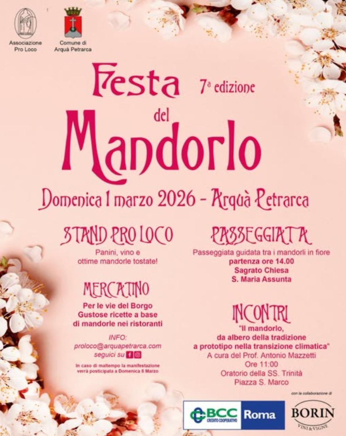 Arqu&agrave; Petrarca celebra la primavera con la Festa del Mandorlo