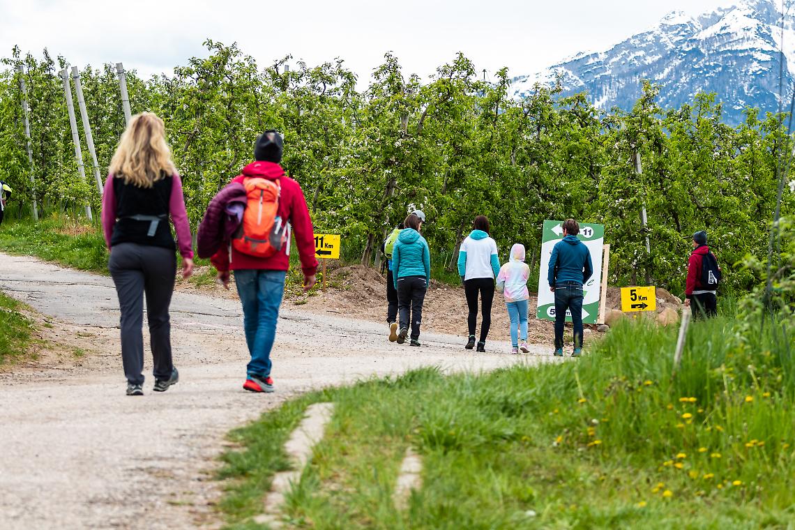 Trentino d'autore: gli appuntamenti da vivere nel prossimo periodo