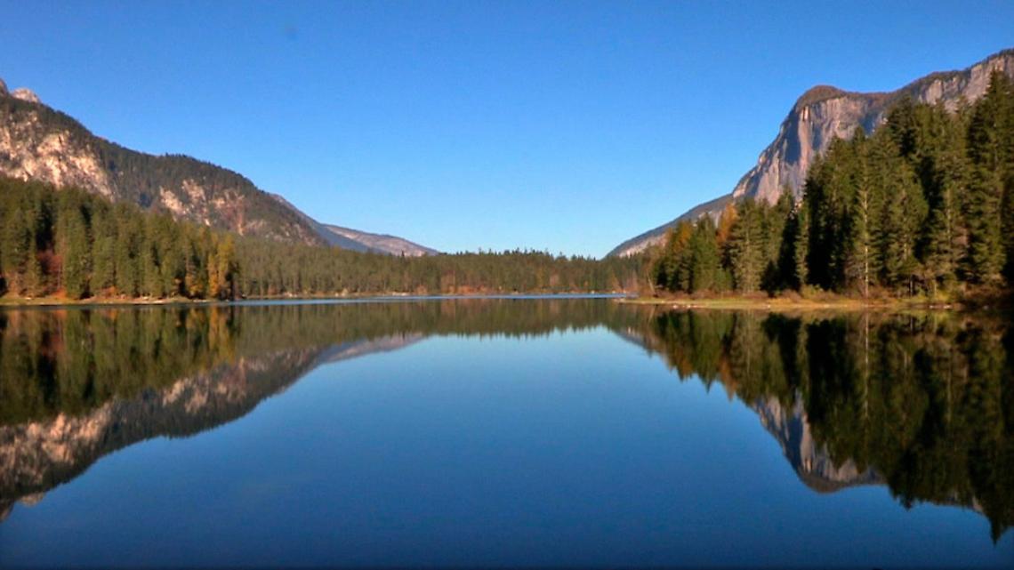 L&rsquo;enigma del sangue freddo: ascesa e declino del rosso di Tovel