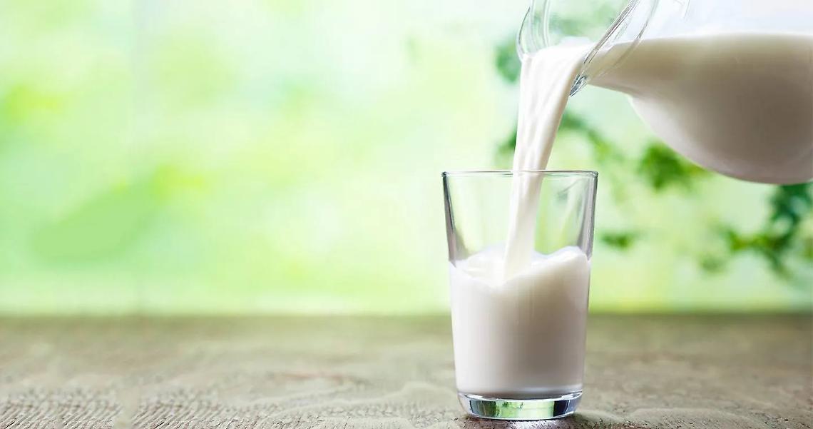 Crisi del latte in Trentino: il prezzo crolla e le stalle rischiano il collasso