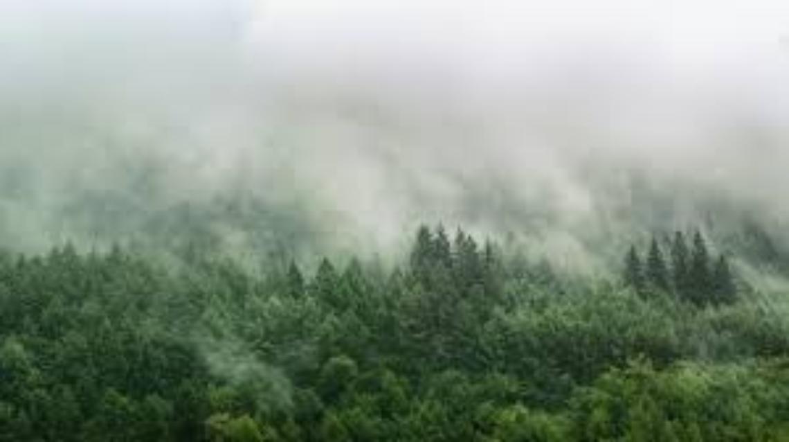 Nebbia nella Marca trevigiana causa disagi ai voli: ritardi e dirottamenti all&rsquo;aeroporto di Treviso