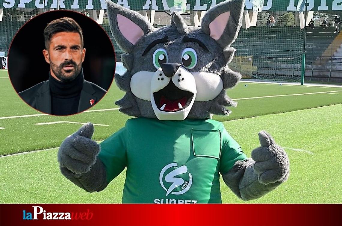 Il Padova nella tana dei lupi: alta tensione ad Avellino